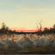 草原の妖精たち